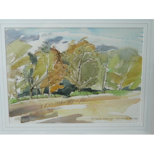 234 - Framed Peter Jones watercolour titled 'Late evening, autumn light' (local artist)