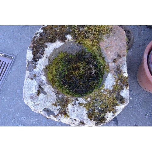 10 - Quern style stone with genuine moss [approx H:18'' x D:20'']