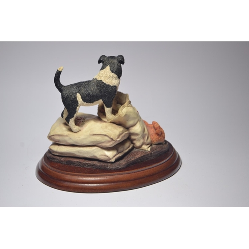 1061 - Border Fine Arts 'Taking the biscuit' BO295 1998 model approx 21cm tall Made in Scotland signed Anne... 