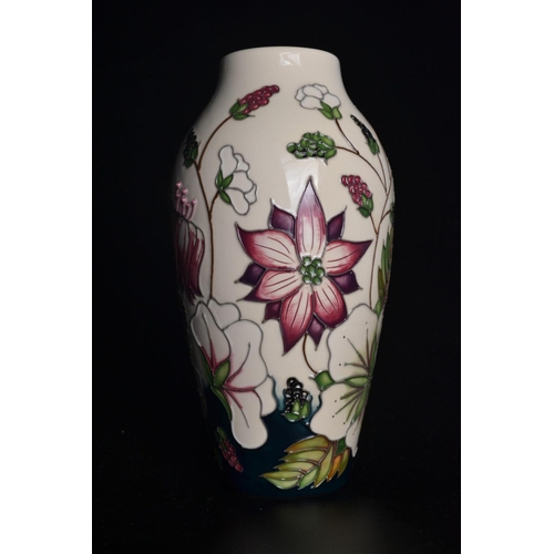 40 - MOORCROFT baluster vase decorated with brambley harvest pattern by Alicia Aimson [H:21cm approx]