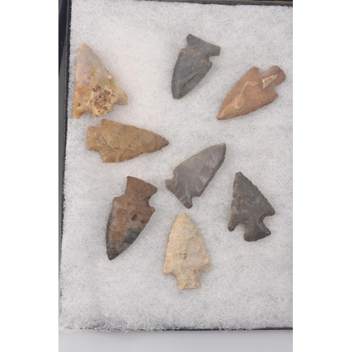 58E - A personal collection of Native American arrow heads in two small display cases