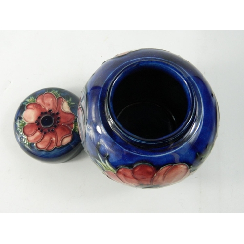 62 - Moorcroft pottery ginger jar having Anemone flower head design on a blue ground approx 12 cm high. N... 