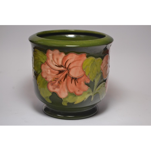 67 - Moorcroft pottery Jardinière having pink hibiscus design on green ground, signed W.M to base