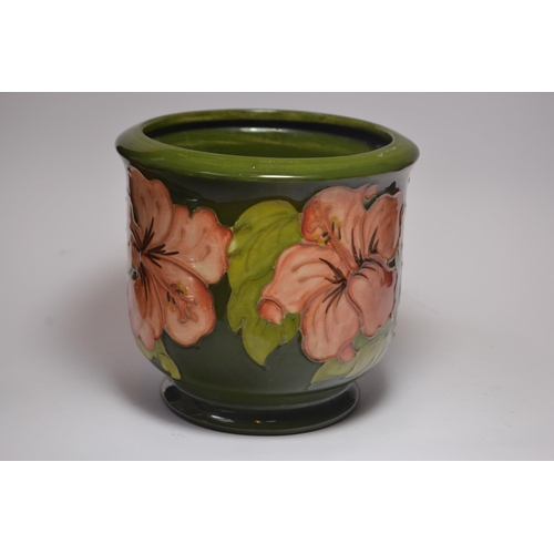 67 - Moorcroft pottery Jardinière having pink hibiscus design on green ground, signed W.M to base