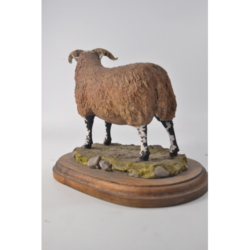 93 - Park Gate Farm Castle sculpture 'Scottish black face ewe' model on wooden base