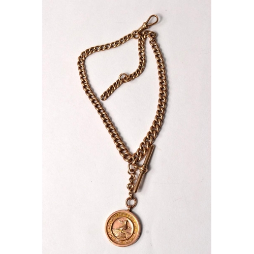 17 - 9ct gold fob chain L: 30cm approx, with T bar and 9ct pigeon (Shrewsbry 1926 pigeon club) medallion,... 