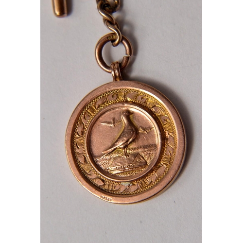 17 - 9ct gold fob chain L: 30cm approx, with T bar and 9ct pigeon (Shrewsbry 1926 pigeon club) medallion,... 