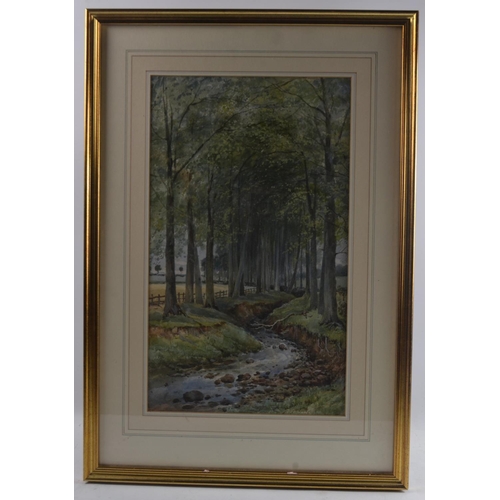 118 - F DAVIS, British, no title, wood and river scene watercolour, painted in 1894.