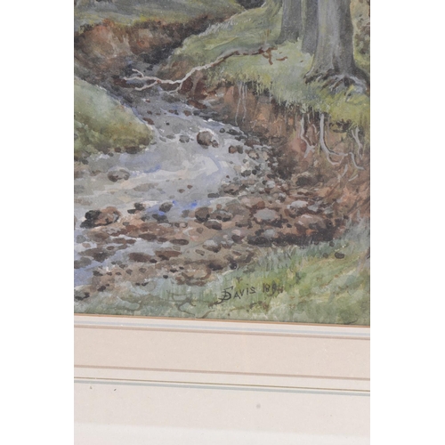 118 - F DAVIS, British, no title, wood and river scene watercolour, painted in 1894.