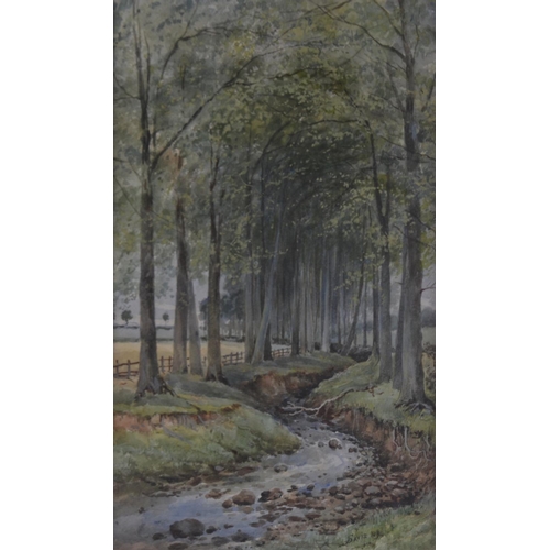 118 - F DAVIS, British, no title, wood and river scene watercolour, painted in 1894.