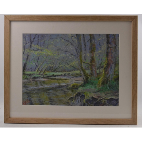 127 - RICHARD GOODWILL BRITISH Local Artist b1946 'Manor Water Peace' chalk pastel on paper