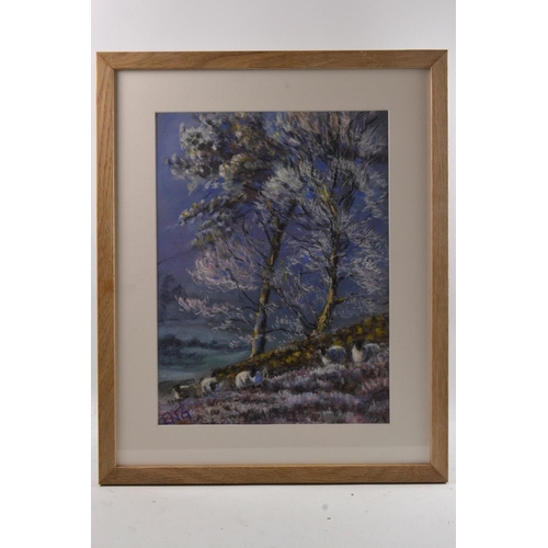 129 - RICHARD GOODWILL BRITISH Local Artist b1946 'Frosty Pines' chalk pastel on paper, on the John Buchan... 