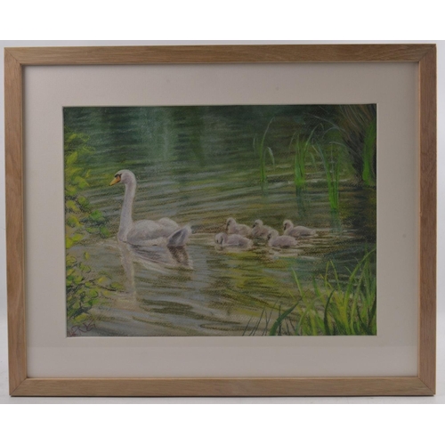 130 - RICHARD GOODWILL BRITISH Local Artist b1946 'Swimming lesson' chalk pastel on paper, location at Hal... 