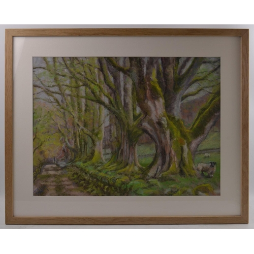 131 - RICHARD GOODWILL BRITISH Local Artist b1946 'Sycamore Avenue at Dawyck Mill' chalk pastel on paper