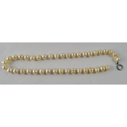 34 - Vintage Fresh strung water pearls necklace 55cm length, end clasp missing in need of repair.