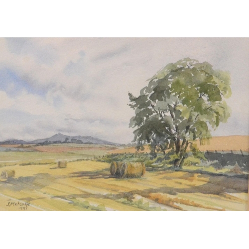 283 - Original watercolour by JULIA METCALF AUTUMN MORNING