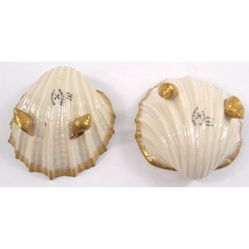 153 - NAUTILUS PORCELAINE MADE IN POSSIL GLASGOW C1890s pair of salts in shell like form with floral deco... 