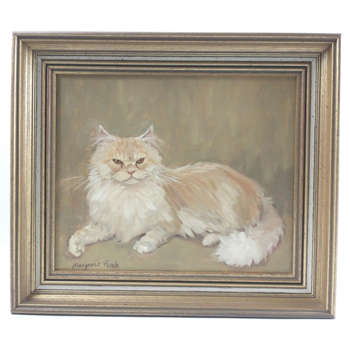 363C - PUSS PUSS! BORDER LOCAL INTEREST ARTIST MARGARET PEACH  Persian cat original oil on canvas#401