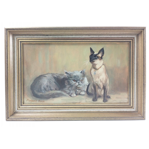 363E - BORDER INTEREST ARTIST MARGARET PEACH  original OIL ON CANVAS painting of Siamese and Persian cats#4... 