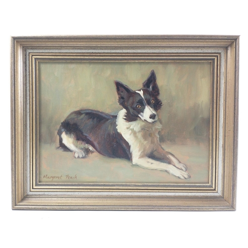 363F - BORDER LOCAL INTEREST ARTIST MARGARET PEACH  original oil on canvas OF A BORDER COLLIE#404