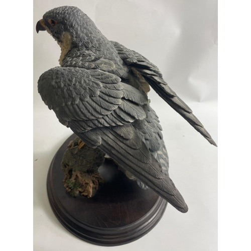 140 - TOP QUALITY! BROOKS BENTLEY very large  Peregrine Falcon' ornament 30cm high x 20cm width approx#14... 