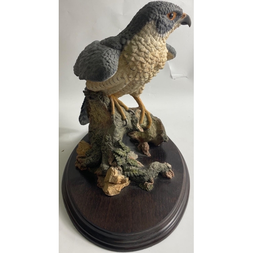 140 - TOP QUALITY! BROOKS BENTLEY very large  Peregrine Falcon' ornament 30cm high x 20cm width approx#14... 