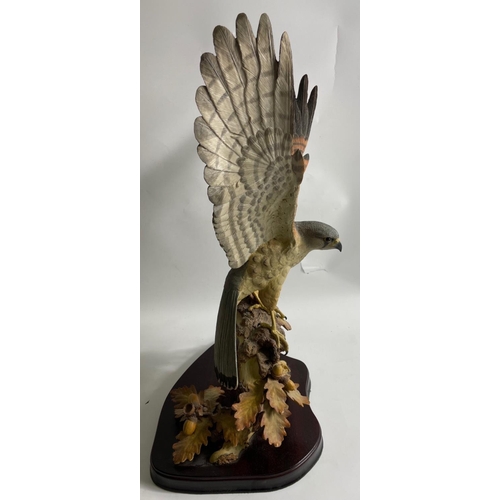 188 - TOP QUALITY! WILDTRACK SCULPTURES large Flying Kestrel by David Ivey No 317 ornament 59cm high x 30c... 