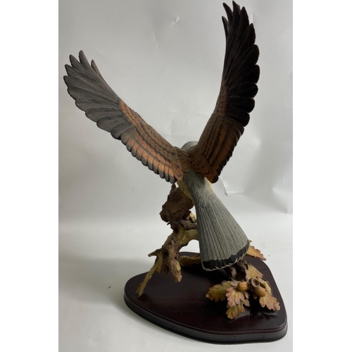 188 - TOP QUALITY! WILDTRACK SCULPTURES large Flying Kestrel by David Ivey No 317 ornament 59cm high x 30c... 