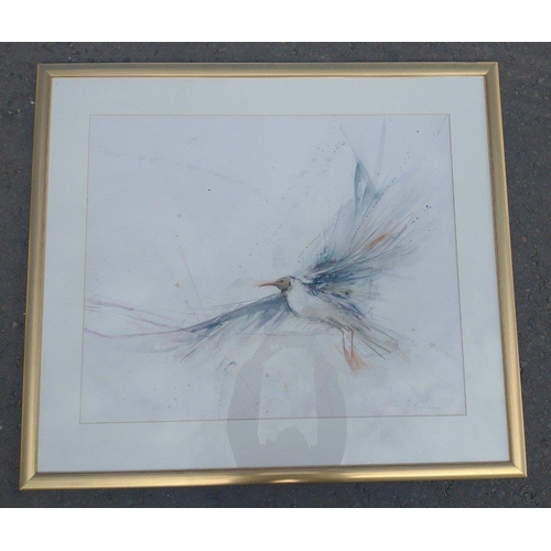 358F - CLARE HARKNESS framed watercolour on paper 'Tern' Very Large mounted and framed painting (frame size... 