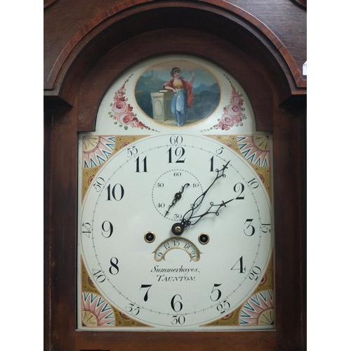 89 - 19th century Grandfather clock Summerhayes Taunton with pendulum & weights#104