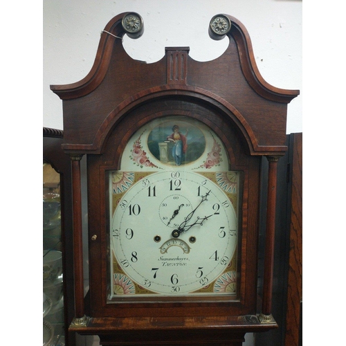 89 - 19th century Grandfather clock Summerhayes Taunton with pendulum & weights#104