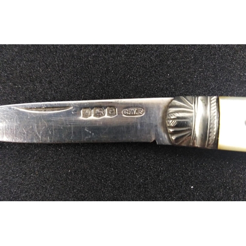 64 - A FRUIT KNIFE with a mother-of-pearl handle and silver hallmarked blade CW Fletcher Sheffield 1922#6... 