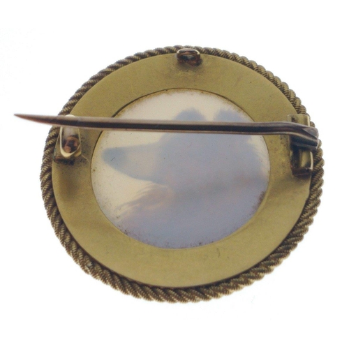 73 - FINELY MADE ANTIQUE ESSEX CRYSTAL 'yellow metal' set circular BROOCH depicting an English rough Coll... 