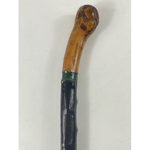 181 - A VINTAGE IRISH shamrock emblem walking stick - potentially made from hawthorne? due to all the shar... 