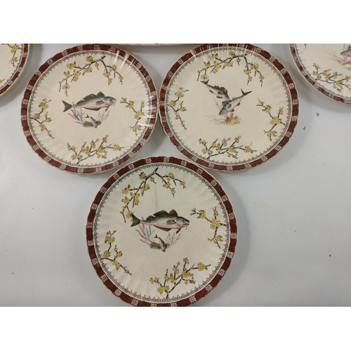 236 - Eight EJD BODLEY fish plates, each with a different fish design, and large salmon platter (57cm long... 