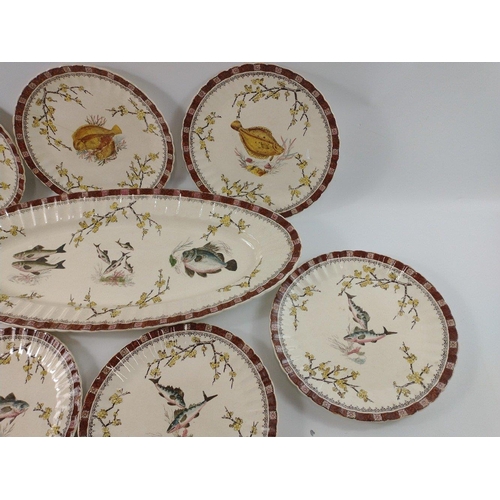 236 - Eight EJD BODLEY fish plates, each with a different fish design, and large salmon platter (57cm long... 