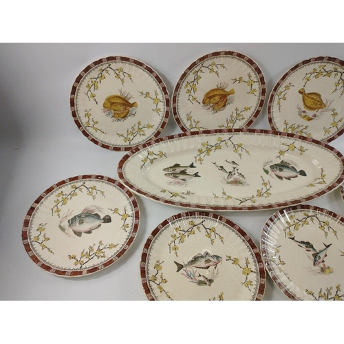 236 - Eight EJD BODLEY fish plates, each with a different fish design, and large salmon platter (57cm long... 