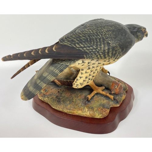 142 - A limited edition (55/250) PEREGRINE FALCON from Border Fine Arts, with certificate, approx 30cm lon... 