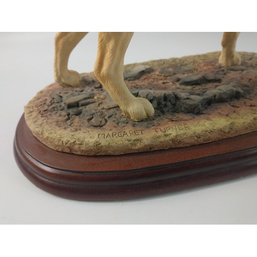 146 - A large BORDER FINE ARTS Labrador dog No A3092 - dimensions 23cm height x 26cm(base length)#173