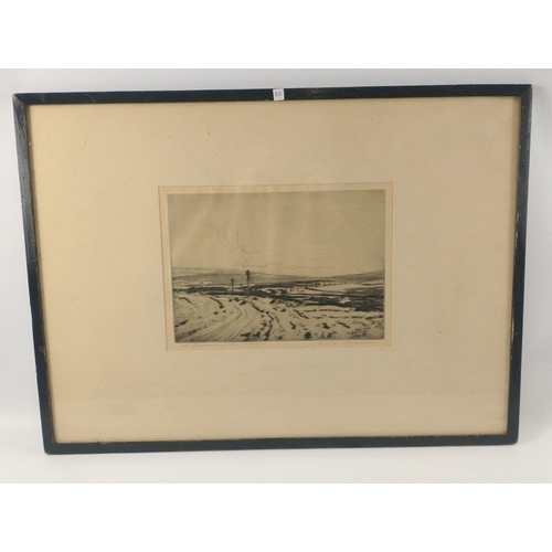 208 - A framed etching of a Galloway landscape, signed George Houston in pencil, frame size 58x43cm, visib... 