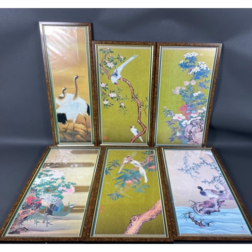 261 - A set of five prints of exotic birds frame size 57x31cm, plus a single print of a pair of cranes, fr... 