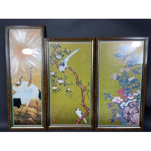 261 - A set of five prints of exotic birds frame size 57x31cm, plus a single print of a pair of cranes, fr... 