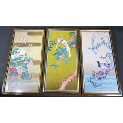 261 - A set of five prints of exotic birds frame size 57x31cm, plus a single print of a pair of cranes, fr... 