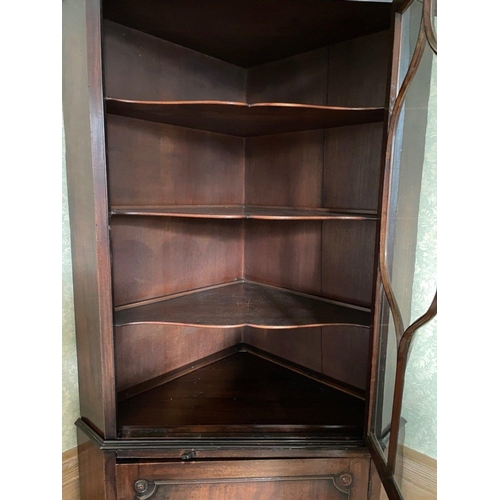 293 - An IMPRESSIVE late Georgian/ early Victorian half door astral glazed corner display cabinet with key... 