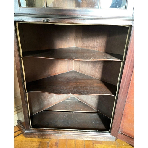 293 - An IMPRESSIVE late Georgian/ early Victorian half door astral glazed corner display cabinet with key... 