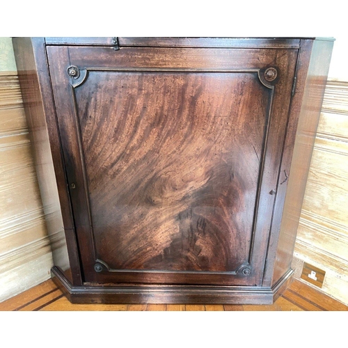 293 - An IMPRESSIVE late Georgian/ early Victorian half door astral glazed corner display cabinet with key... 