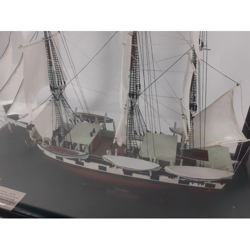 225 - Large cased model ship of CHARLES W MORGAN whaling ship,  a superbly detailed impressive modern mode... 