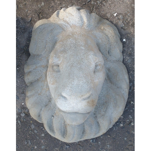 464 - ROAR! A lion wall hanging plaque. Dimensions - 43cm wide.#490