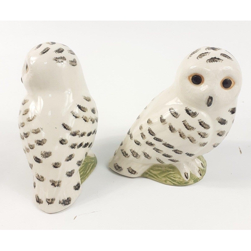 398 - GUINNESS HERITAGE (G0075) toucan salt & pepper set, a QUAIL woodpecker salt & pepper set, an... 