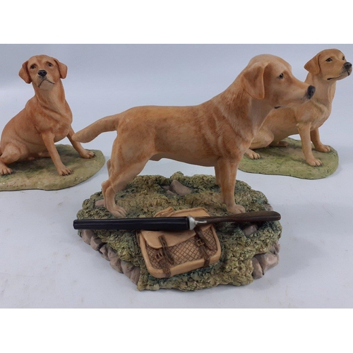 402 - Two studies of golden Labradors from BORDER FINE ARTS being 2 figurines by AYRES (1983) and one hunt... 